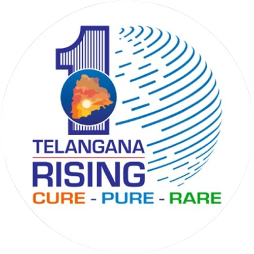 Telangana Rising — Government of Telangana